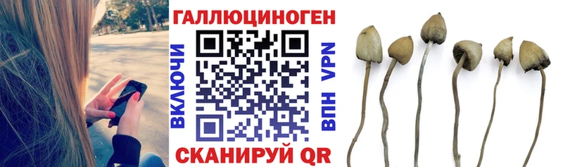 дарнет шоп  Алатырь  МЕГА tor  Псилоцибиновые грибы Psilocybine cubensis 
